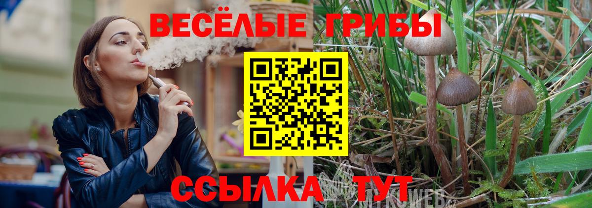 Красноармейск  Галлюциногенные грибы мухоморы  Вход с VPN  Псилоцибиновые грибы MAGIC MUSHROOMS 