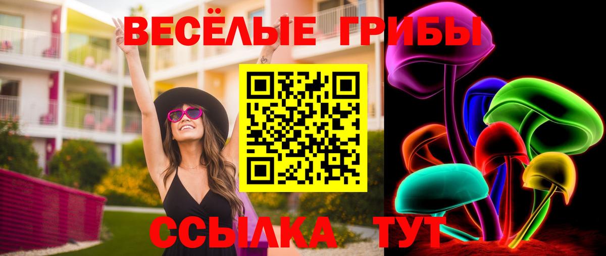 Псилоцибиновые грибы GOLDEN TEACHER Красноармейск
